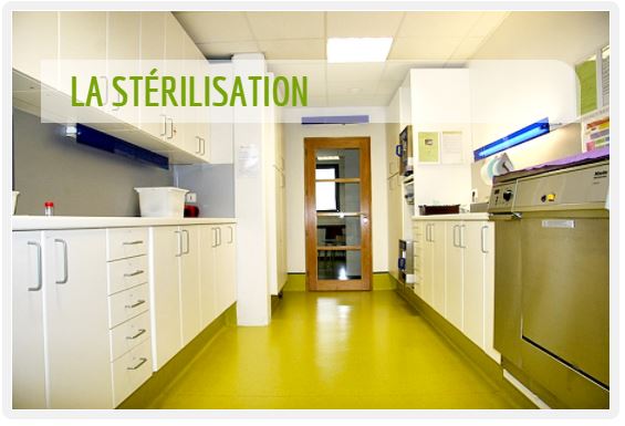 dental sterilisation